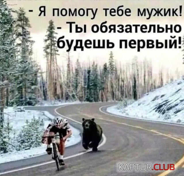 223841_14_trinixy_ru.jpg | Рено Каптур Клуб Россия | Форум KAPTUR.SU