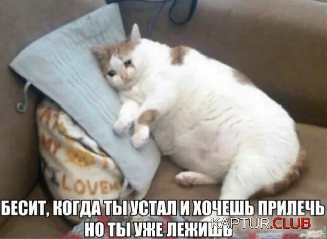 223981_4_trinixy_ru.jpg | Рено Каптур Клуб Россия | Форум KAPTUR.SU