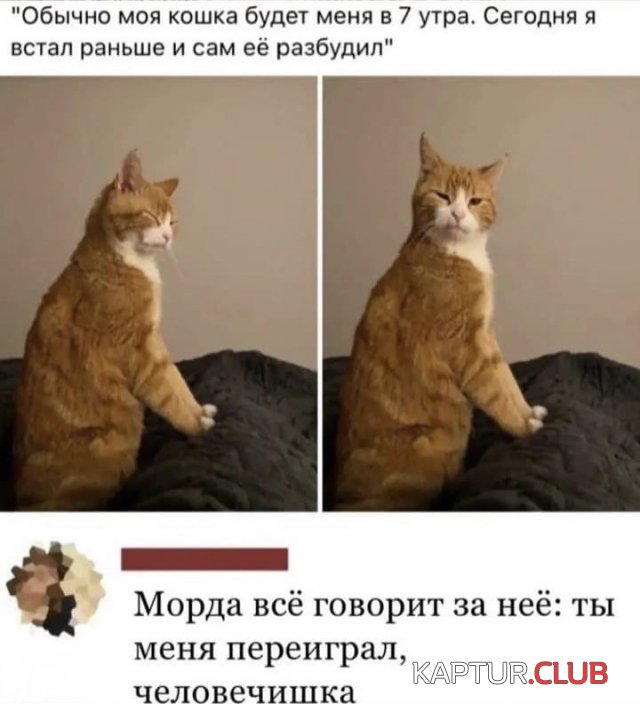224561_13_trinixy_ru.jpg | Рено Каптур Клуб Россия | Форум KAPTUR.SU