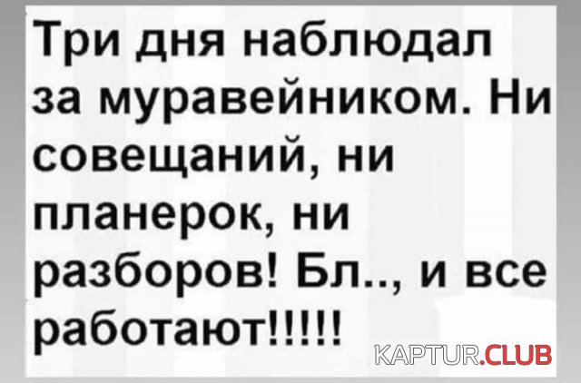 224621_8_trinixy_ru.jpg | Рено Каптур Клуб Россия | Форум KAPTUR.SU
