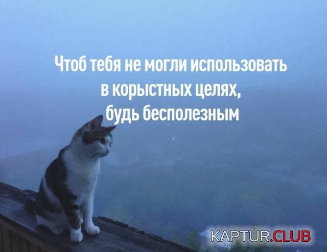 224659_2_trinixy_ru.jpg | Рено Каптур Клуб Россия | Форум KAPTUR.SU