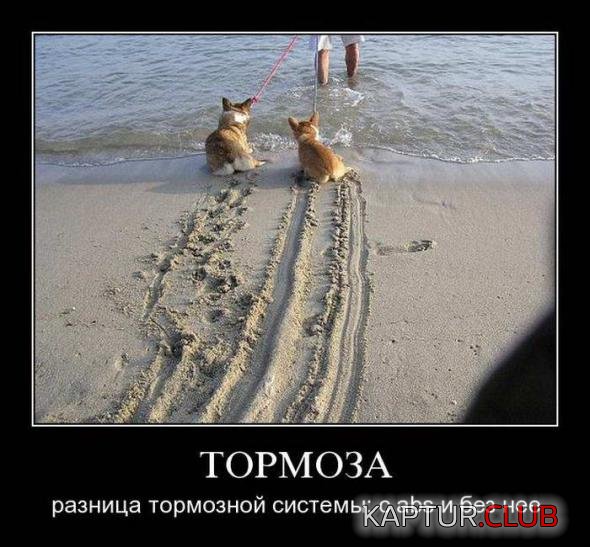 22557b070a09b83ff78754393d1_prev.jpg | Рено Каптур Клуб Россия | Форум KAPTUR.SU