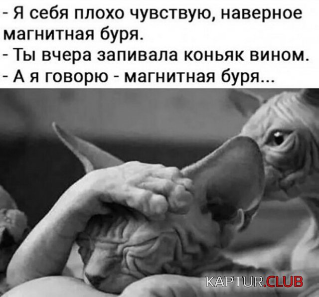 225655_2_trinixy_ru.jpg | Рено Каптур Клуб Россия | Форум KAPTUR.SU
