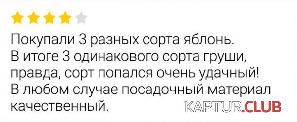 225684_4_trinixy_ru.jpg | Рено Каптур Клуб Россия | Форум KAPTUR.SU