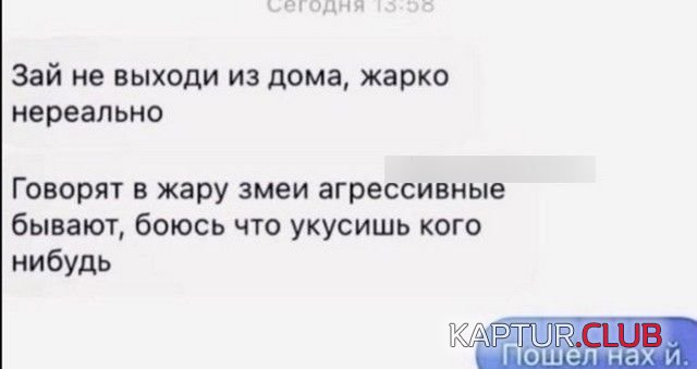 226998_3_trinixy_ru.jpg | Рено Каптур Клуб Россия | Форум KAPTUR.SU