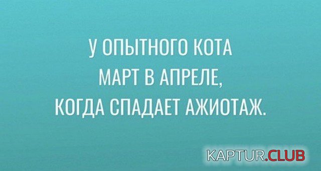 227085_10_trinixy_ru.jpg | Рено Каптур Клуб Россия | Форум KAPTUR.SU