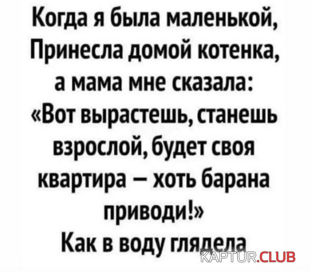 227383_10_trinixy_ru.jpg | Рено Каптур Клуб Россия | Форум KAPTUR.SU