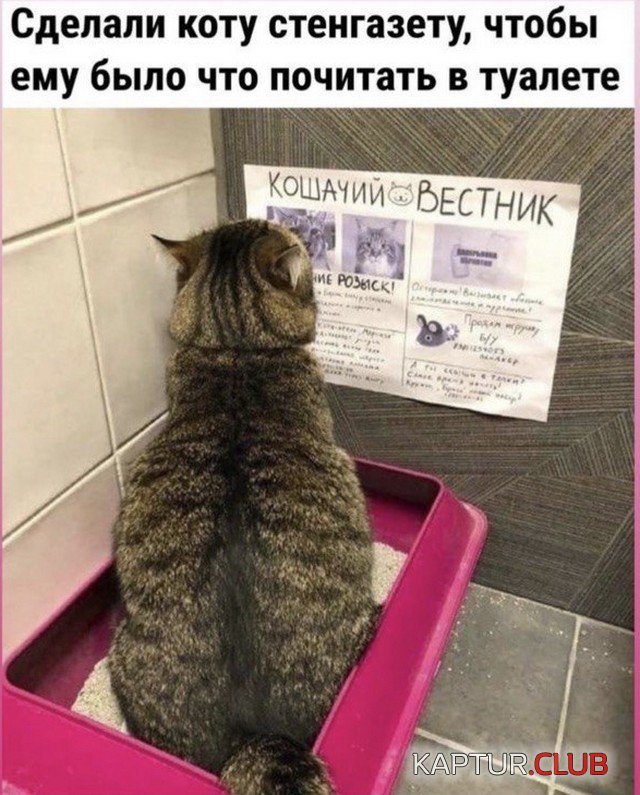 227775_10_trinixy_ru.jpg | Рено Каптур Клуб Россия | Форум KAPTUR.SU