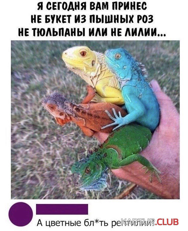 228167_15_trinixy_ru.jpg | Рено Каптур Клуб Россия | Форум KAPTUR.SU