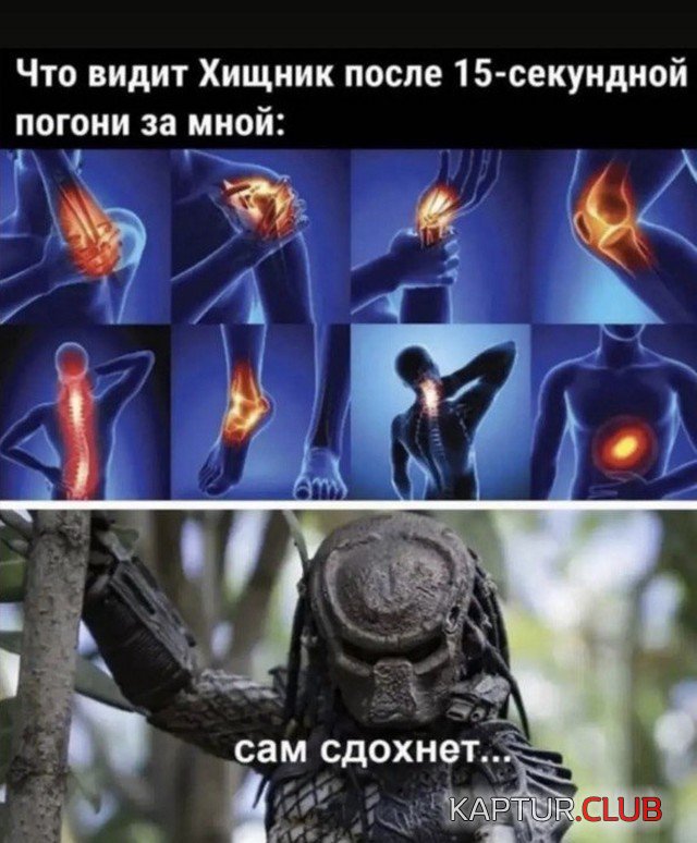 229359_8_trinixy_ru.jpg | Рено Каптур Клуб Россия | Форум KAPTUR.SU
