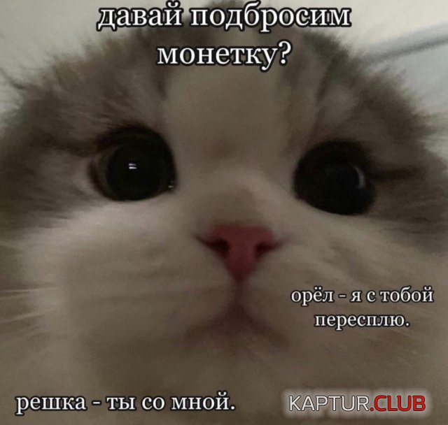 229539_5_trinixy_ru.jpg | Рено Каптур Клуб Россия | Форум KAPTUR.SU