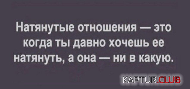 229889_4_trinixy_ru.jpg | Рено Каптур Клуб Россия | Форум KAPTUR.SU