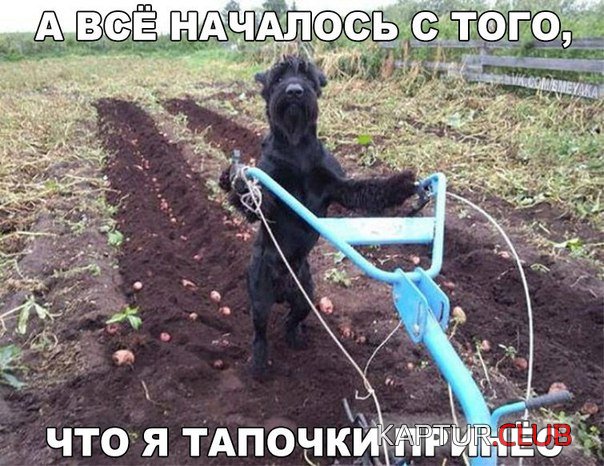 22e082d46ac187384386555a09d.jpg | Рено Каптур Клуб Россия | Форум KAPTUR.SU