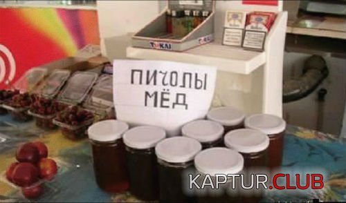 22f0bf4b08bbcdedc7b09916cf7.jpg | Рено Каптур Клуб Россия | Форум KAPTUR.SU