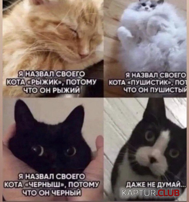 230127_10_trinixy_ru.jpg | Рено Каптур Клуб Россия | Форум KAPTUR.SU