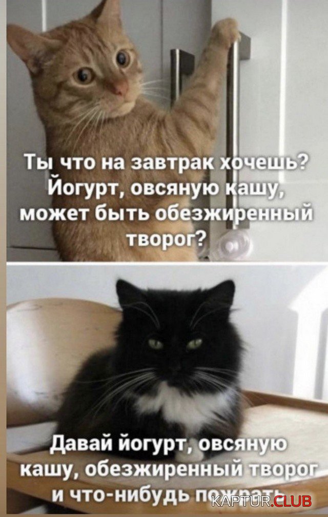 230360_11_trinixy_ru.jpg | Рено Каптур Клуб Россия | Форум KAPTUR.SU