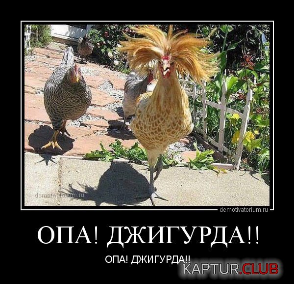 230913-2.jpg | Рено Каптур Клуб Россия | Форум KAPTUR.SU