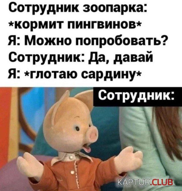 231241_10_trinixy_ru.jpg | Рено Каптур Клуб Россия | Форум KAPTUR.SU