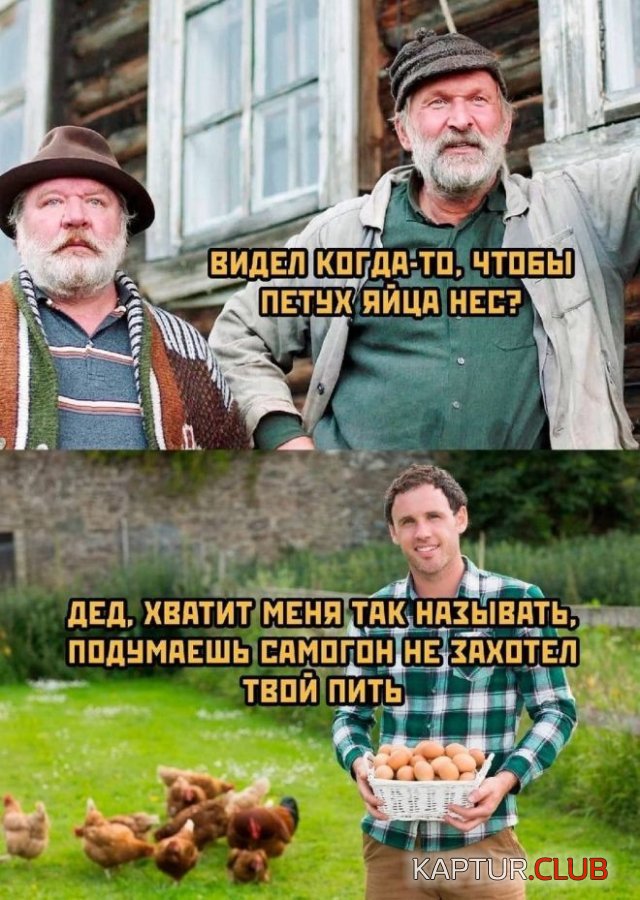 231241_1_trinixy_ru.jpg | Рено Каптур Клуб Россия | Форум KAPTUR.SU