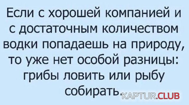 231345_6_trinixy_ru.jpg | Рено Каптур Клуб Россия | Форум KAPTUR.SU