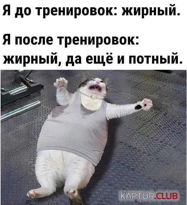 231664_10_trinixy_ru.jpg | Рено Каптур Клуб Россия | Форум KAPTUR.SU