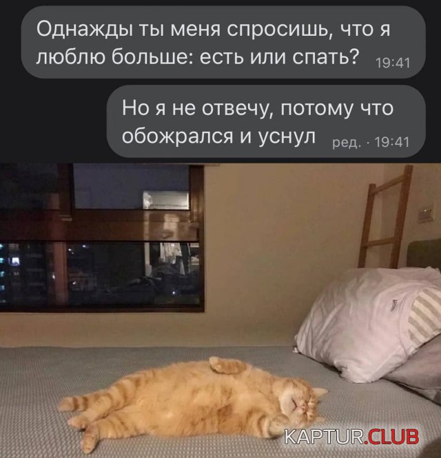 231814_11_trinixy_ru.jpg | Рено Каптур Клуб Россия | Форум KAPTUR.SU