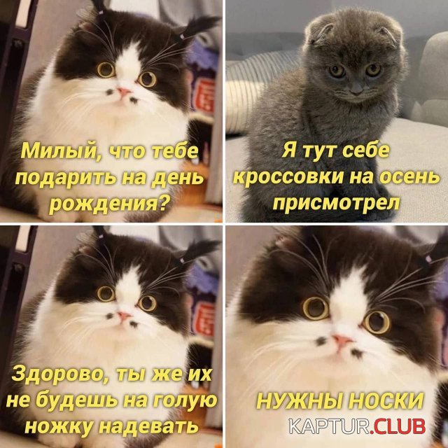 231814_12_trinixy_ru.jpg | Рено Каптур Клуб Россия | Форум KAPTUR.SU