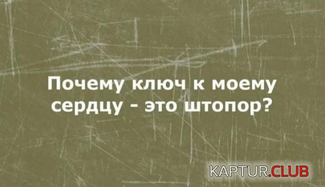 231986_5_trinixy_ru.jpg | Рено Каптур Клуб Россия | Форум KAPTUR.SU