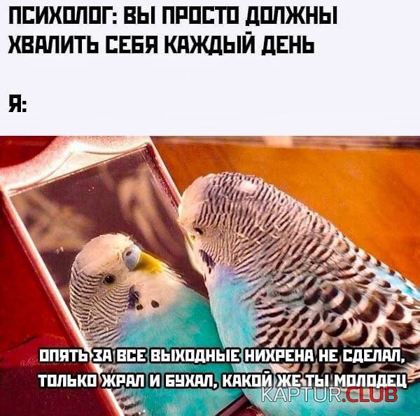 232375_13_trinixy_ru.jpg | Рено Каптур Клуб Россия | Форум KAPTUR.SU