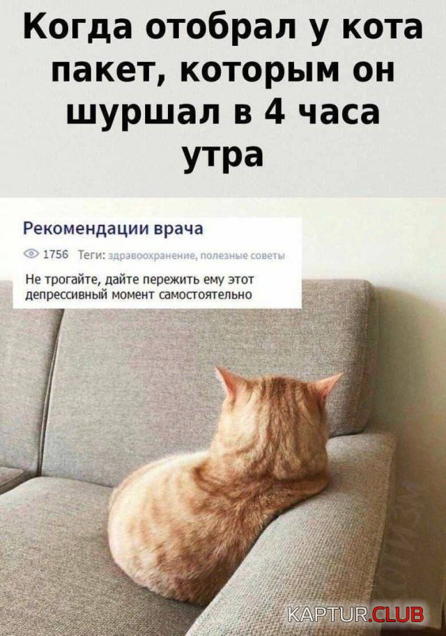 232417_16_trinixy_ru.jpg | Рено Каптур Клуб Россия | Форум KAPTUR.SU