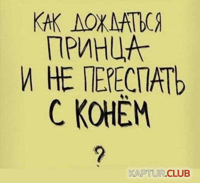 232664_3_trinixy_ru.jpg | Рено Каптур Клуб Россия | Форум KAPTUR.SU