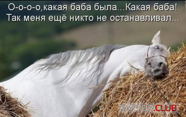 233044_1_trinixy_ru.jpg | Рено Каптур Клуб Россия | Форум KAPTUR.SU