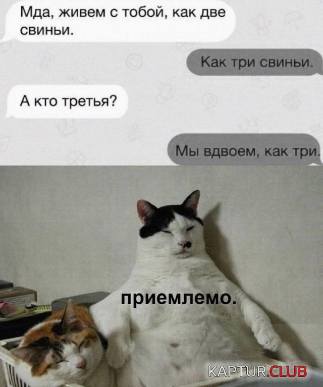 233135_7_trinixy_ru.jpg | Рено Каптур Клуб Россия | Форум KAPTUR.SU
