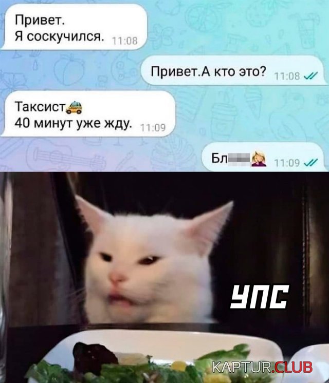 234182_27_trinixy_ru.jpg | Рено Каптур Клуб Россия | Форум KAPTUR.SU