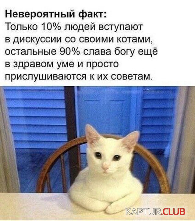 234330_10_trinixy_ru.jpg | Рено Каптур Клуб Россия | Форум KAPTUR.SU