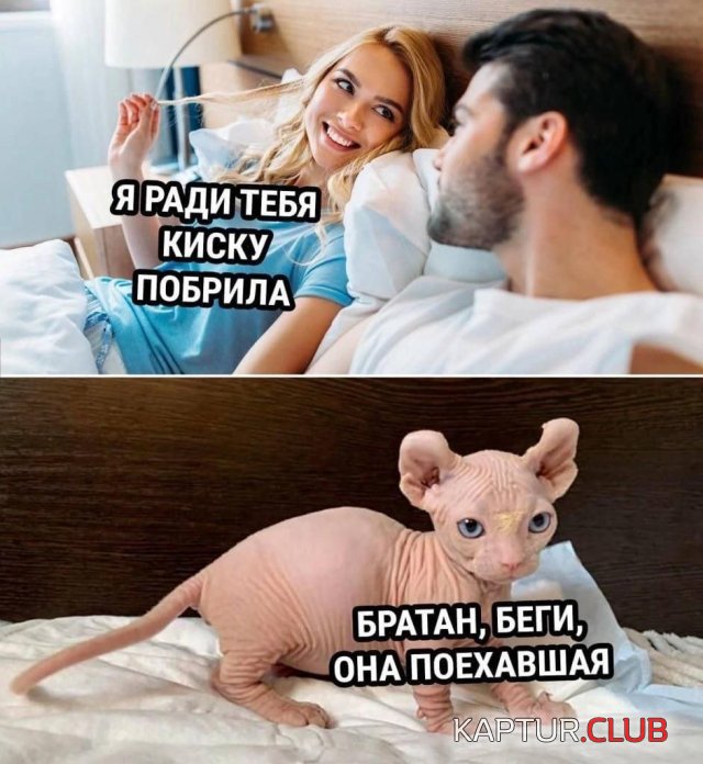 234415_7_trinixy_ru.jpg | Рено Каптур Клуб Россия | Форум KAPTUR.SU