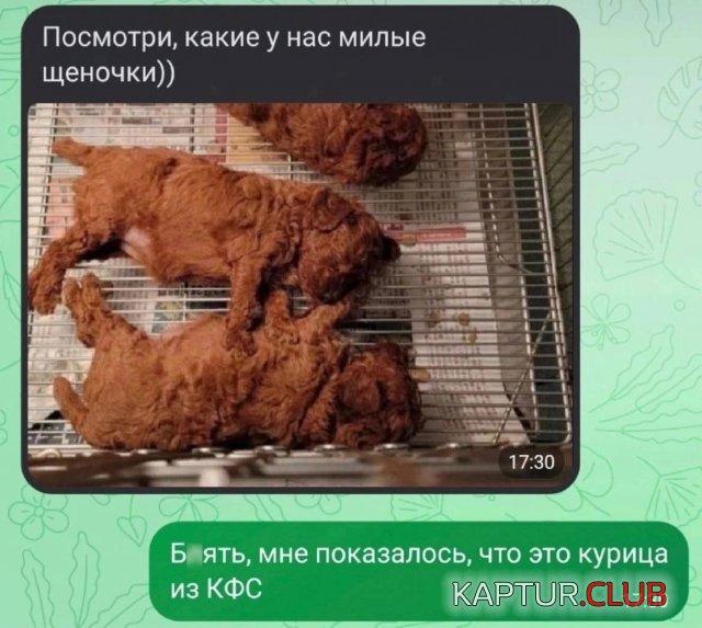 234452_8_trinixy_ru.jpg | Рено Каптур Клуб Россия | Форум KAPTUR.SU