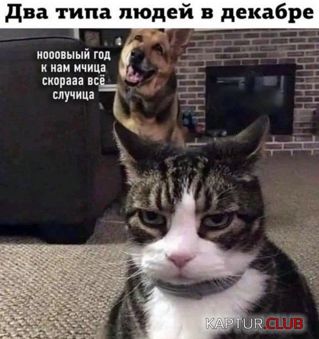 234503_4_trinixy_ru.jpg | Рено Каптур Клуб Россия | Форум KAPTUR.SU