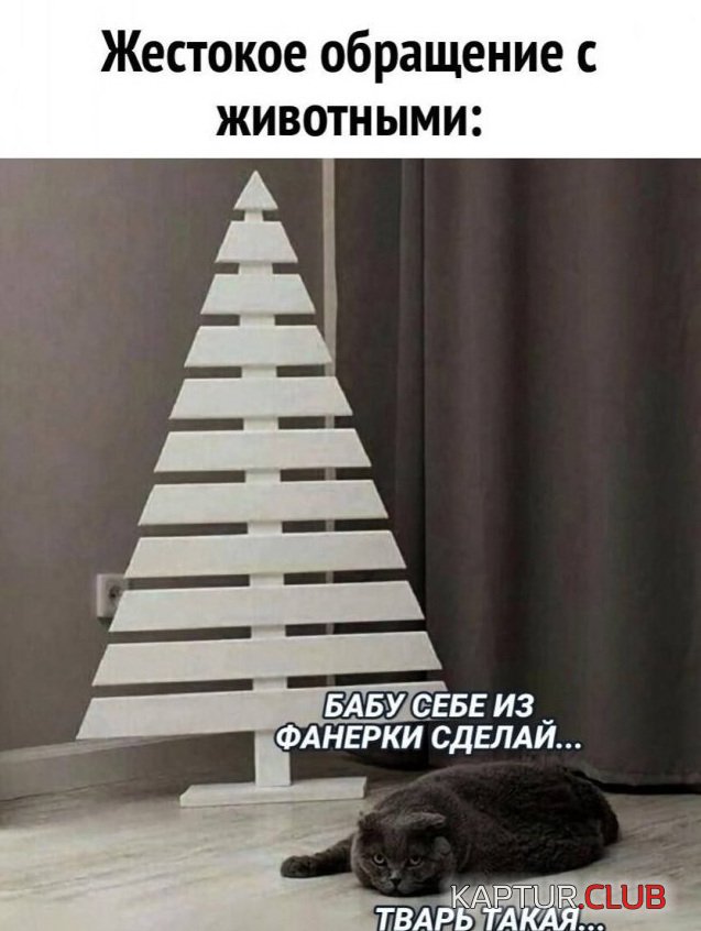234778_11_trinixy_ru.jpg | Рено Каптур Клуб Россия | Форум KAPTUR.SU