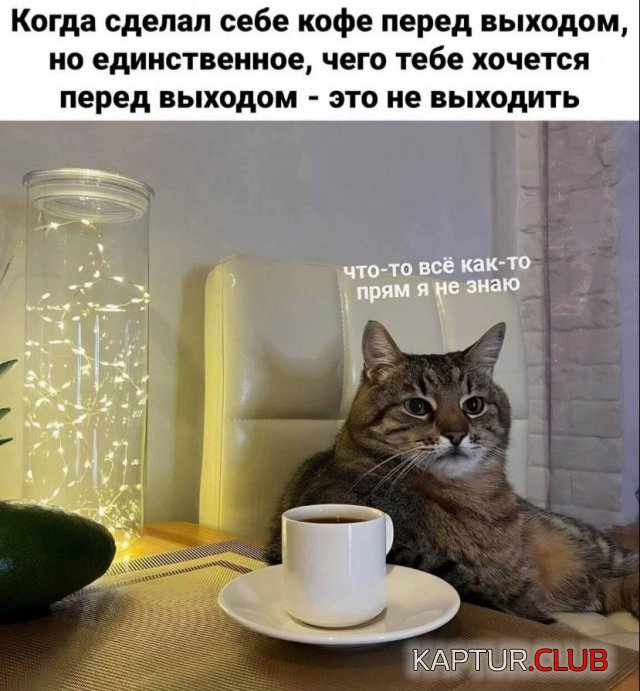 234916_5_trinixy_ru.jpg | Рено Каптур Клуб Россия | Форум KAPTUR.SU