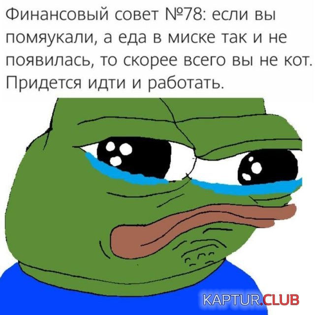 234916_9_trinixy_ru.jpg | Рено Каптур Клуб Россия | Форум KAPTUR.SU
