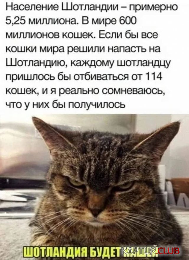 235849_1_trinixy_ru.jpg | Рено Каптур Клуб Россия | Форум KAPTUR.SU