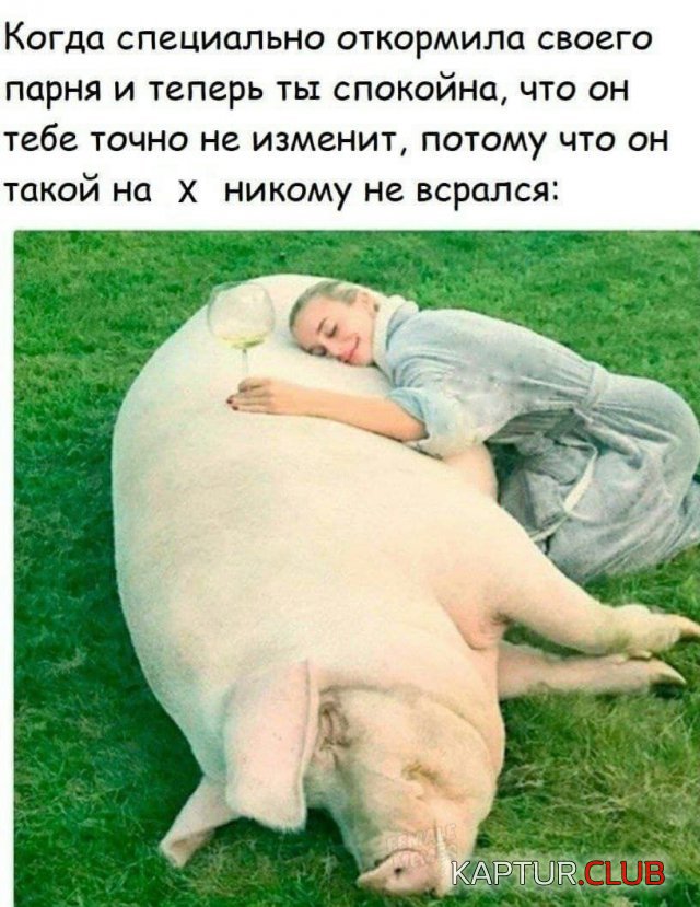 235870_11_trinixy_ru.jpg | Рено Каптур Клуб Россия | Форум KAPTUR.SU