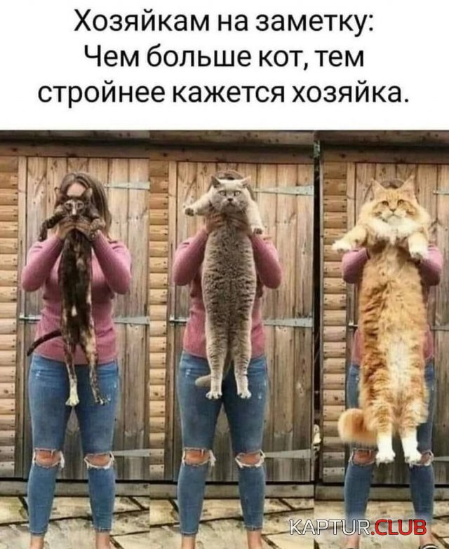 236192_12_trinixy_ru.jpg | Рено Каптур Клуб Россия | Форум KAPTUR.SU