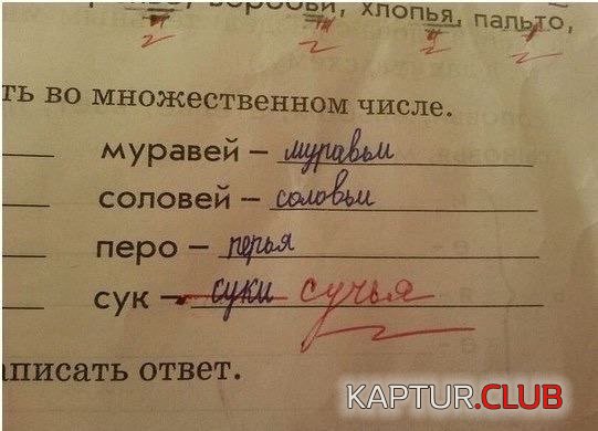 236543_7_trinixy_ru.jpg | Рено Каптур Клуб Россия | Форум KAPTUR.SU