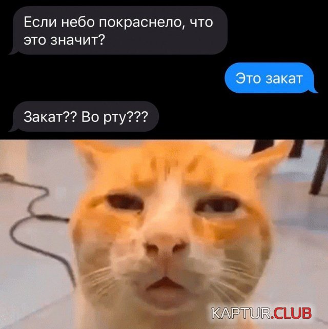 236686_12_trinixy_ru.jpg | Рено Каптур Клуб Россия | Форум KAPTUR.SU