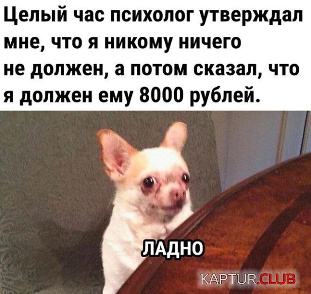 236762_10_trinixy_ru.jpg | Рено Каптур Клуб Россия | Форум KAPTUR.SU