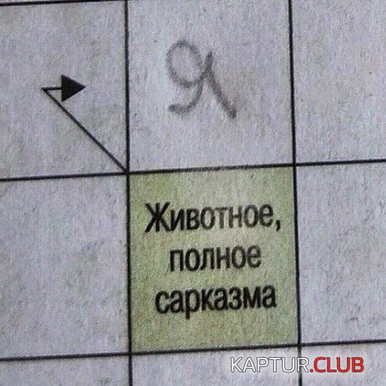 236804_13_trinixy_ru.jpg | Рено Каптур Клуб Россия | Форум KAPTUR.SU