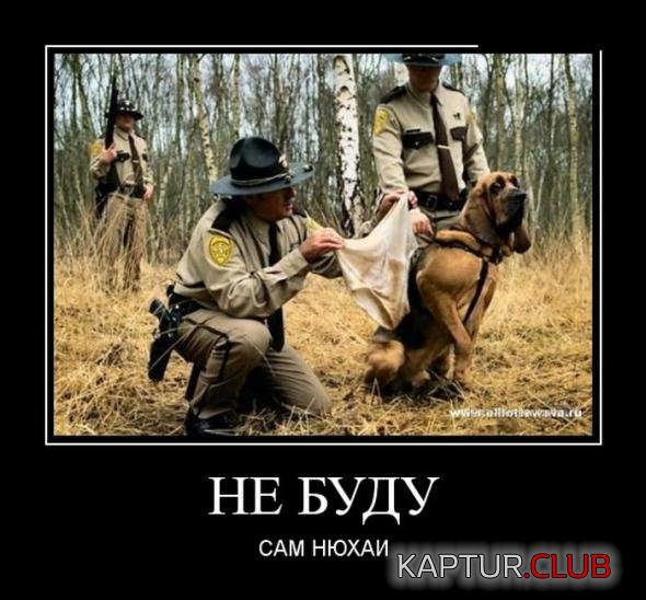 2369cc96d6f494a048a58062a4c_prev.jpg | Рено Каптур Клуб Россия | Форум KAPTUR.SU