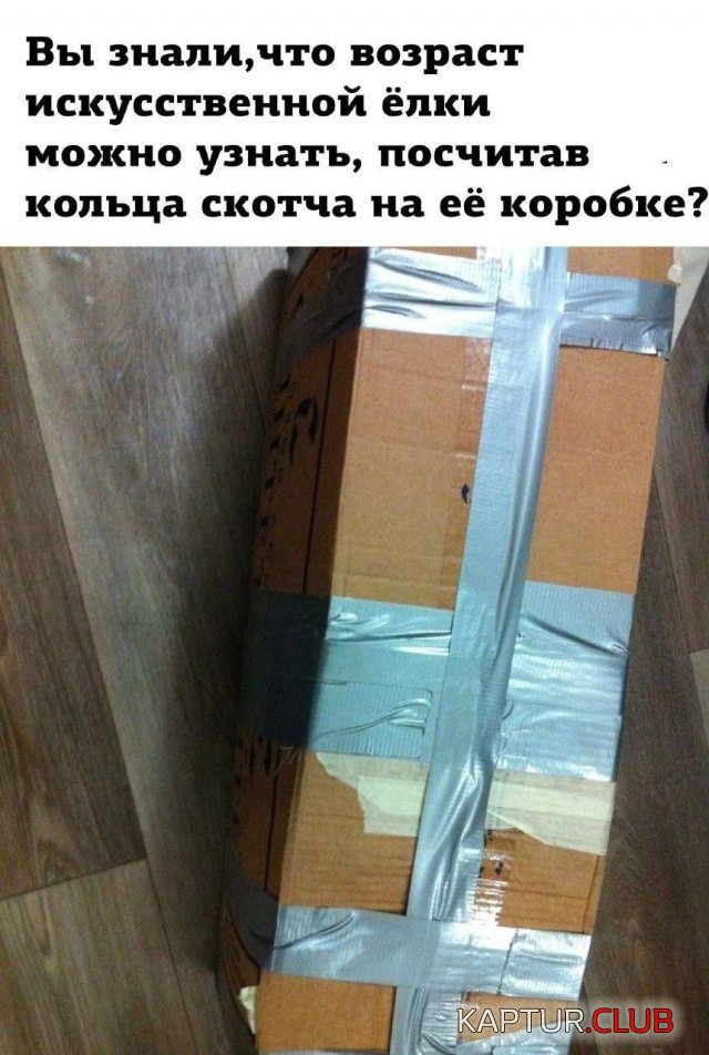 237106_9_trinixy_ru.jpg | Рено Каптур Клуб Россия | Форум KAPTUR.SU